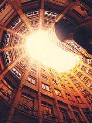 [Wear it quickly] Bl